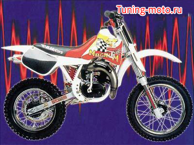 DB Motors ZZ