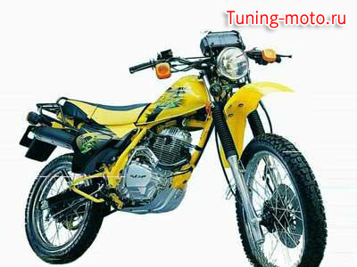 Ducar DJ125GYI
