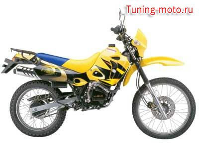 Ducar DJ200GY