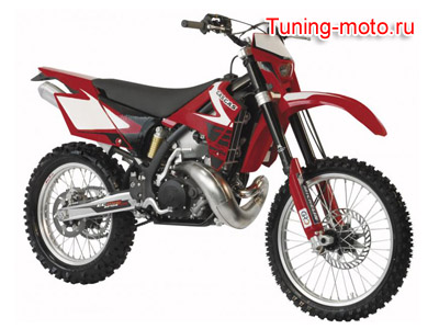Gas Gas FSE250