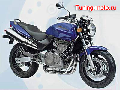 Honda Hornet