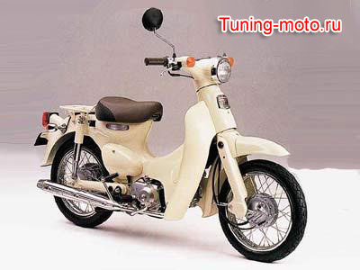 Honda Little Cub 50