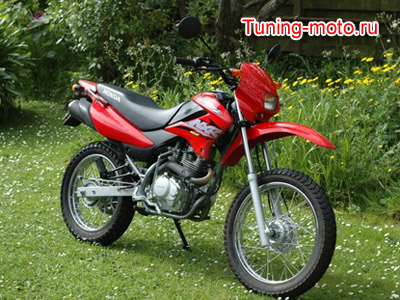Honda NX125