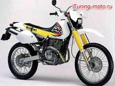 Suzuki DR250R