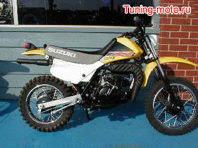 Suzuki DS80