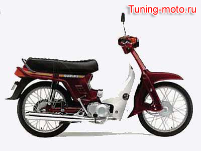 Suzuki FB100 Birdie