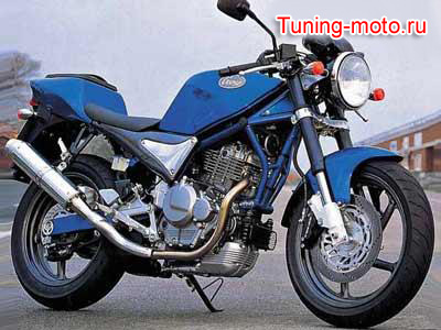 Suzuki Goose 350
