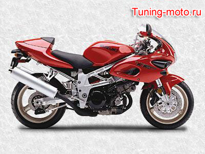 Suzuki TL1000S