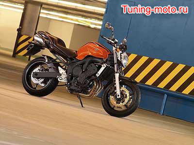 Yamaha FZ6-N (2006)