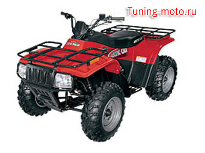 Arctic Cat 300 2x4