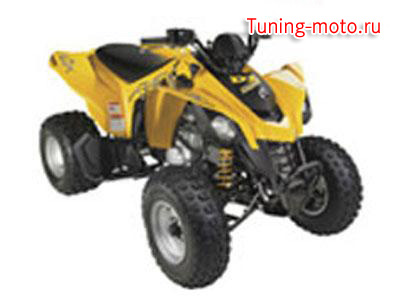 BRP DS 250 (2007)