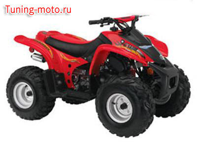 BRP DS 90 (2008)