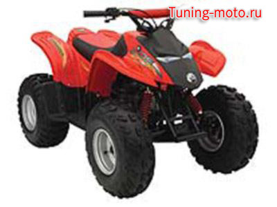 BRP Youth DS 90 (2005)