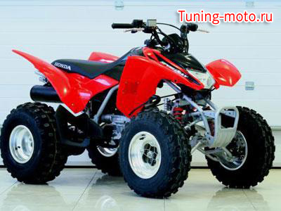 Honda FourTrax TRX 250EX6
