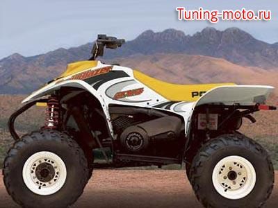 Polaris Trail Blazer