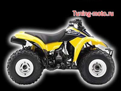 Suzuki LT80 Quadsport