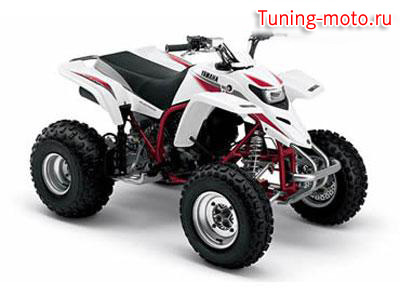 Yamaha Blaster 200 (2008)
