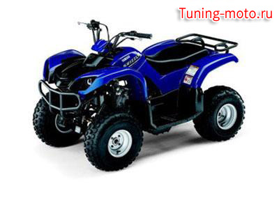Yamaha Grizzly 80 G (2008)