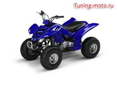 Yamaha Raptor 80 (2008)