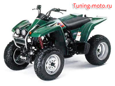 Yamaha YFB250 Timberwolf 2x4