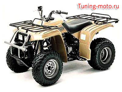 Ямаха YFM 250
