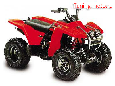 Yamaha YFM350FWX Wolverine 4x4