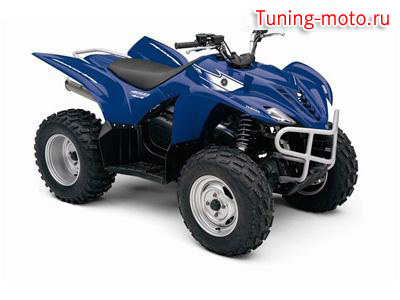 Yamaha YFM450FAS Wolverine 450