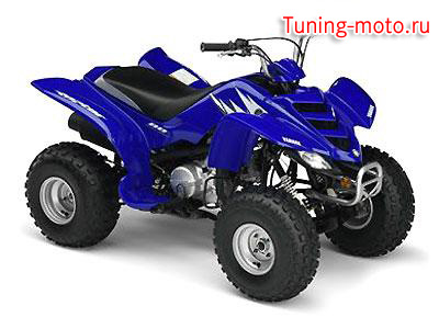 Yamaha YFS200 Raptor 80