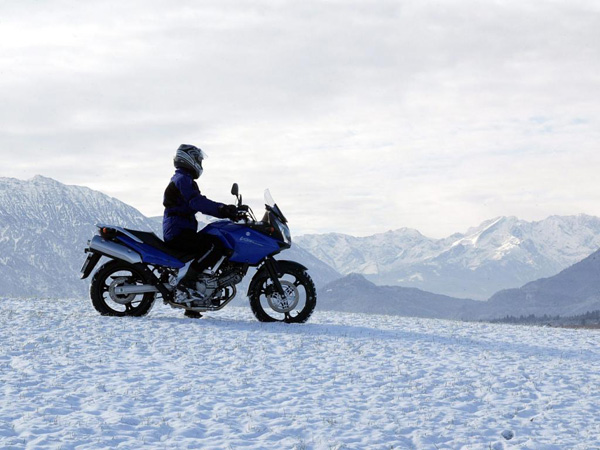   Suzuki V-Strom