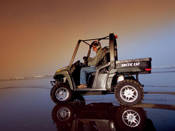  arctic cat