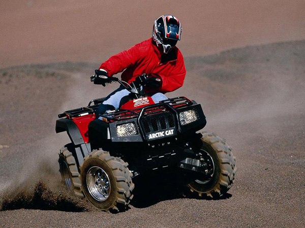   arctic cat 
